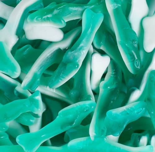 Turkey - Bulk Kervan Blue Shark 8 Gr 5 Lb