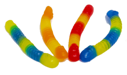 Spain- Bulk - Vidal Sugar Free Asssorted Worms - 2.2lb x 1 Bag