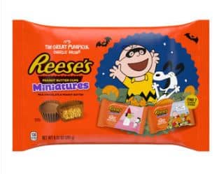 Halloween - Single REESE Snoopy & Friends Wrappers Peanut Butter Cup - 9.92oz(281g) x 1 Bag