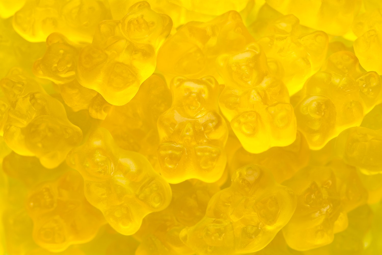 Bulk Albanese Mango Gummi Bears 5 Lb Québec Candy