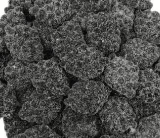 Canada - BULK - CCC Sour Gnarly Grapes Gummy Candy 2.5kg x 1 Bag