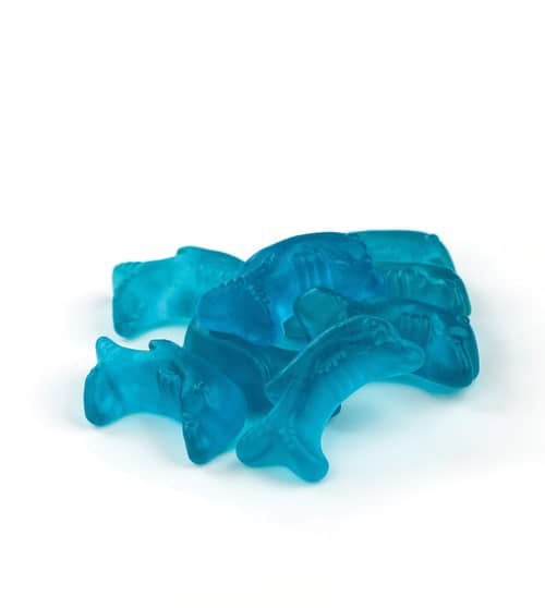 Netherlands- Bulk - Gustafs Gummi Dolphins 2.2 lb(1kg) x 1 bag
