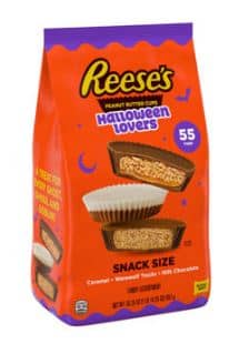 Halloween- Single REESE Lovers Peanut Butter Cup Snack Size Assortment SUB Bag (55 Pieces) - 30.25oz (858g) X 1 Bag
