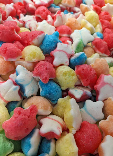 Jujubes tortues - Lyophilisé - Freeze dried 50g (CS 24) - Québec Candy